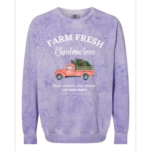 Farm Fresh Christmas Trees Old Red Truck Xmas Trees Sign Gift Colorblast Crewneck Sweatshirt