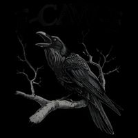 F-Caw-F - Funny Crow Black Crow, F-Caw-F Funny Black Bird 16oz Travel Tumbler