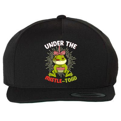 Funny Frog Christmas Under The Mistle Toad Xmas Frogs Froggy Gift Wool Snapback Cap