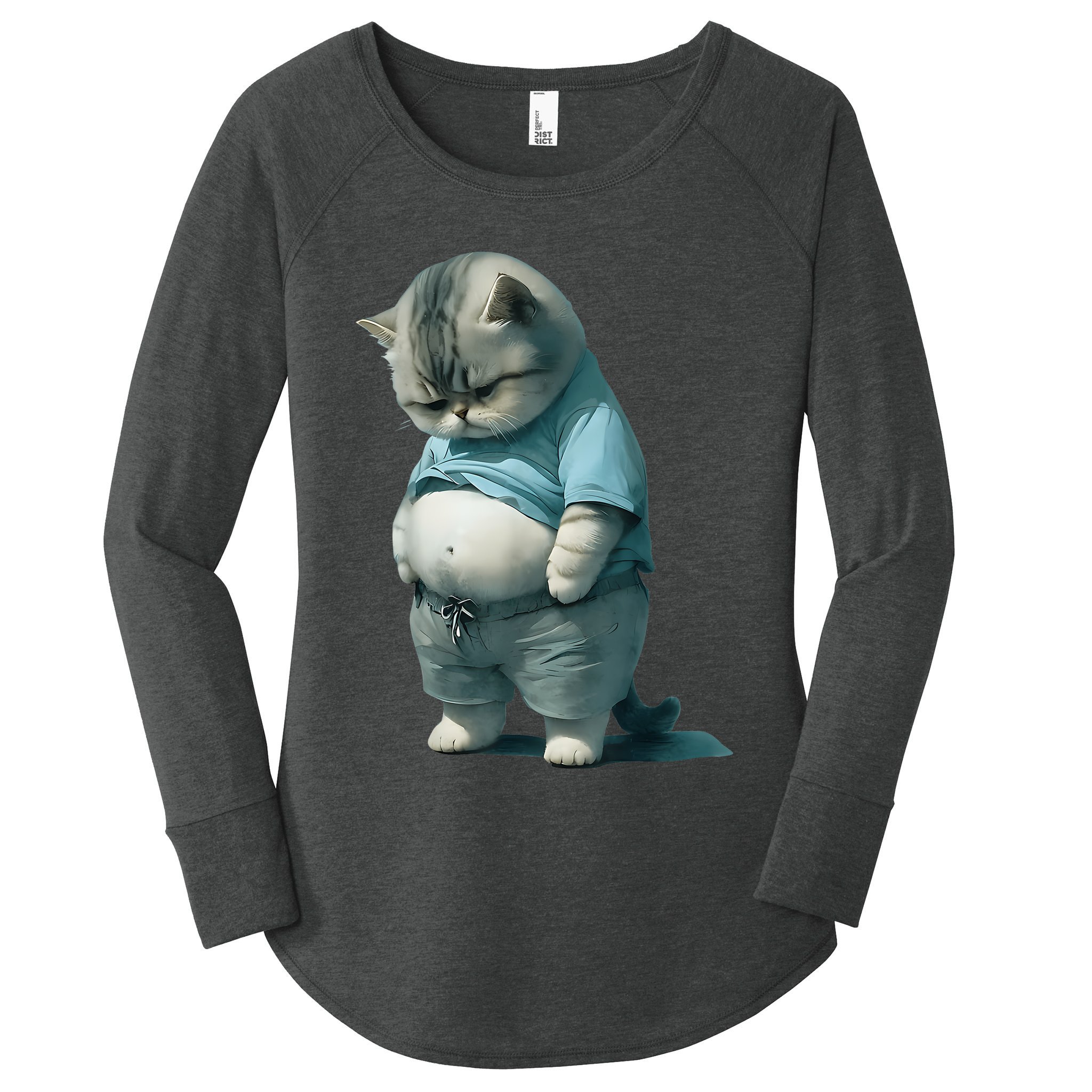 Funny Fat Cat Art Design Fat Kitten Cat Lover Women's Perfect Tri Tunic Long Sleeve Shirt