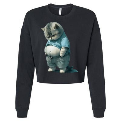 Funny Fat Cat Art Design Fat Kitten Cat Lover Cropped Pullover Crew