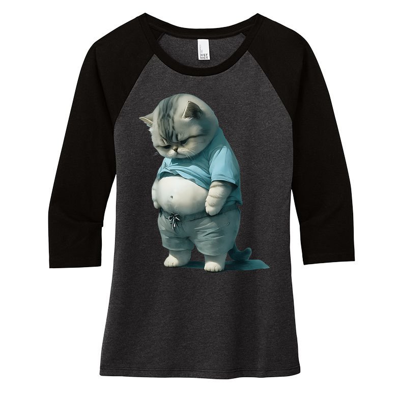 Funny Fat Cat Art Design Fat Kitten Cat Lover Women's Tri-Blend 3/4-Sleeve Raglan Shirt