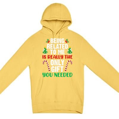 Funny Family Christmas Funny Gift Being Related To Me Gift Premium Pullover Hoodie