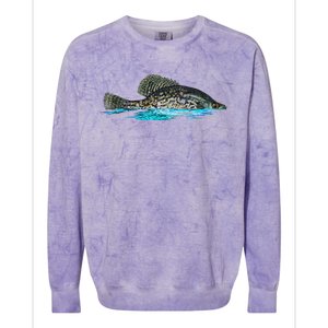 Fishing For Crappie Fish Graphic Art Freshwater Fisherman Colorblast Crewneck Sweatshirt