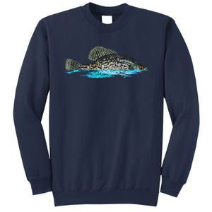 Fishing For Crappie Fish Graphic Art Freshwater Fisherman Sweatshirt