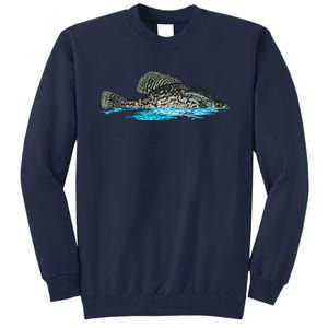 Fishing For Crappie Fish Graphic Art Freshwater Fisherman Tall Sweatshirt