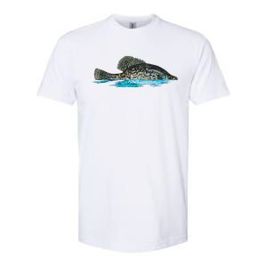 Fishing For Crappie Fish Graphic Art Freshwater Fisherman Softstyle CVC T-Shirt