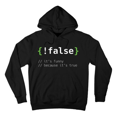 False Funny Coding Programmer Gift Computer Programming Hoodie