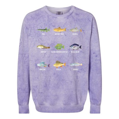 Funny Fishing Cute Types Of Freshwater Fish Species Gifts Colorblast Crewneck Sweatshirt