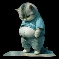 Funny Fat Cat Art Design Print Mug