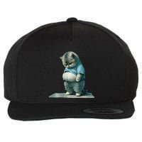 Funny Fat Cat Art Design Print Wool Snapback Cap