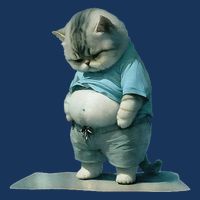 Funny Fat Cat Art Design Print Sweatshirt