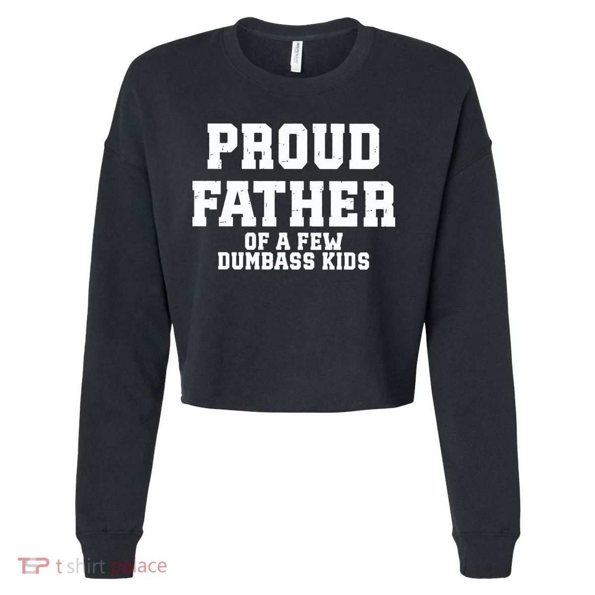 Funny Father Day Proud Father Of A Few Dumbass Cropped Pullover Crew