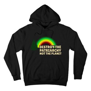 Feminism Feminist Destroy The Patriarchy Not The Planet Hoodie