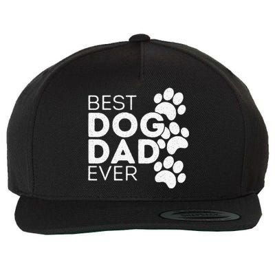 Funny Fathers Day Gift Idea Best Dog Dad Ever Wool Snapback Cap