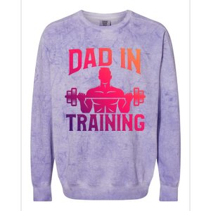 First Fathers Day Dad In Training Funny Workout Gym Gift Cute Gift Colorblast Crewneck Sweatshirt