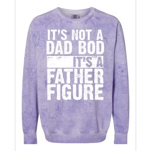 Father Figure Dad Bod Funny Meme Colorblast Crewneck Sweatshirt