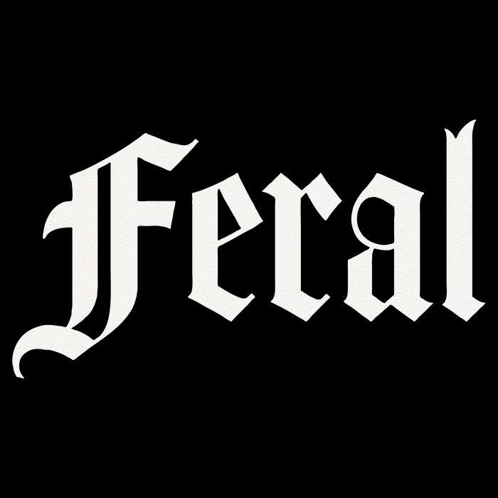 FERAL Visor