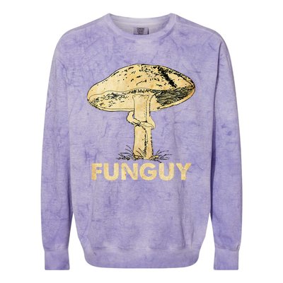 Funguy Funny Fungi Fungus Mushroom Colorblast Crewneck Sweatshirt