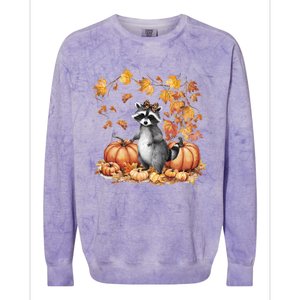 Feral Fall For Raccoon And Pumpkin Spice Lovers Colorblast Crewneck Sweatshirt