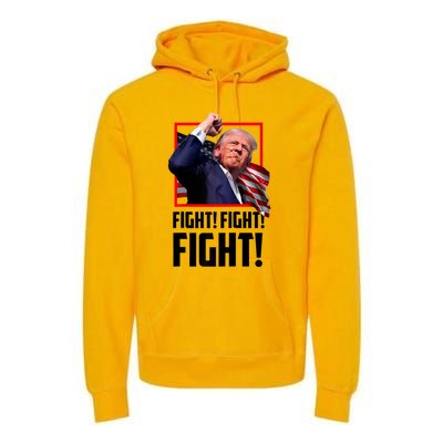 Fight! Fight! Fight! Donald Trump Political Election 2024 Premium Hoodie