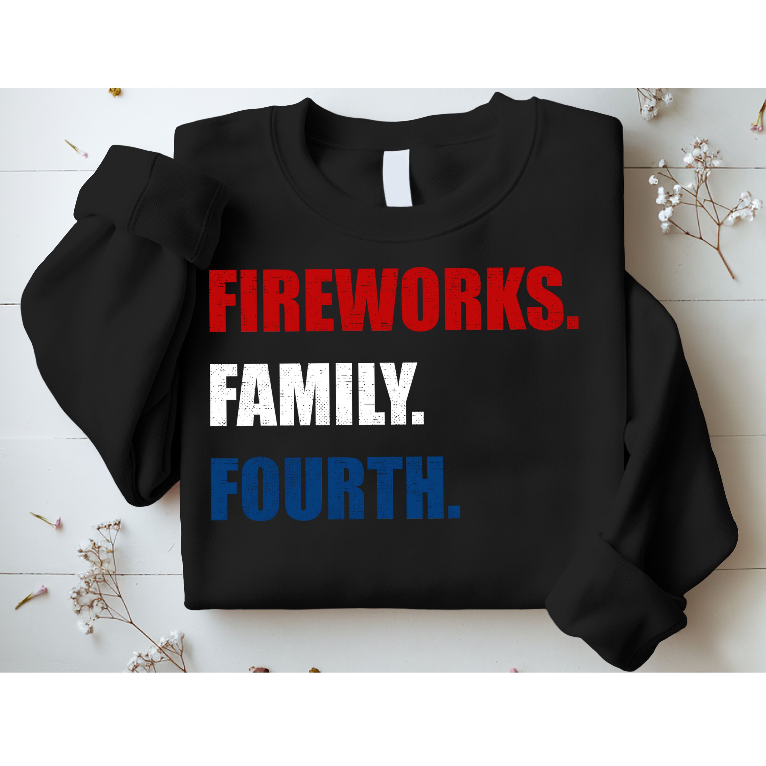 Fireworks Family Fourth Sweatshirt