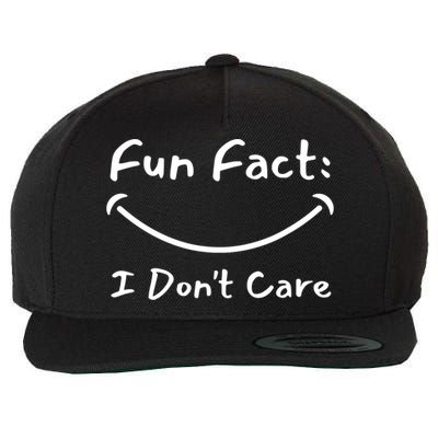 Funny Fun Fact I Don't Care Sarcastic Wool Snapback Cap