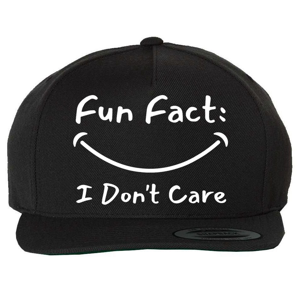 Funny Fun Fact I Don't Care Sarcastic Wool Snapback Cap