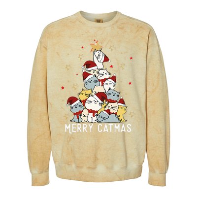 Festive Feline Fun Adorable Christmas Tree Kitty for Cat Lovers Colorblast Crewneck Sweatshirt