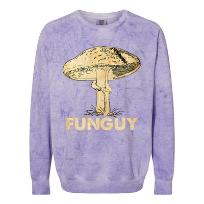 Funguy Funny Fungi Fungus Mushroom Men Funny Guy Vintage Colorblast Crewneck Sweatshirt