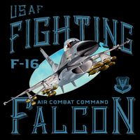 Fighting Falcon F16 Women's Crop Top Tee