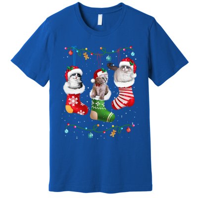 Festive Feline Friends Cats In Christmas Sock Pajama Set Gift Premium T-Shirt