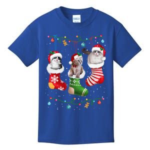 Festive Feline Friends Cats In Christmas Sock Pajama Set Gift Kids T-Shirt