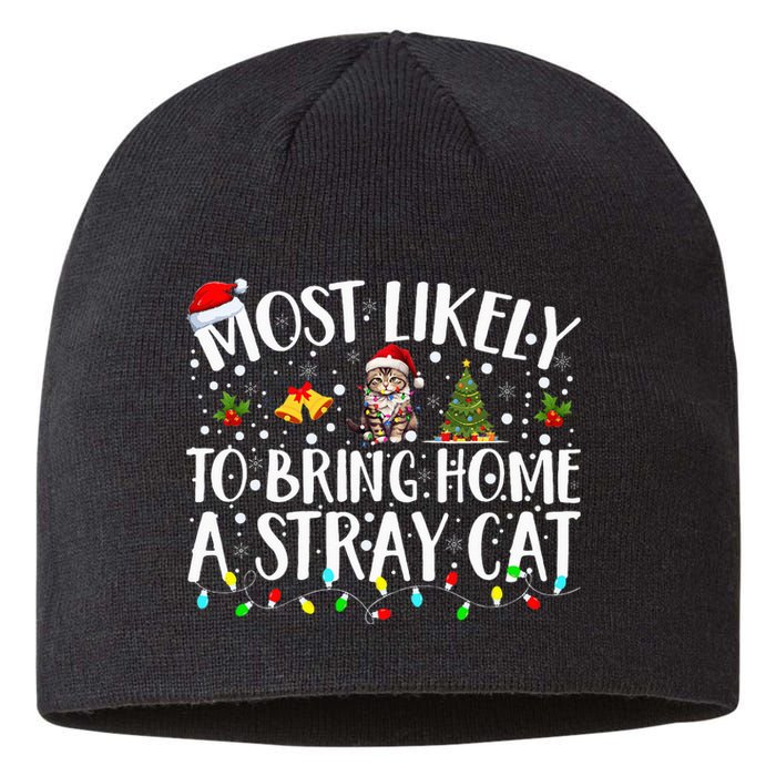 Festive Feline Friends Perfect for Adopting Stray Cats Sustainable Beanie