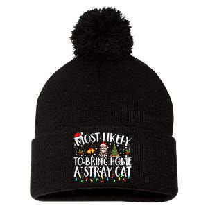 Festive Feline Friends Perfect for Adopting Stray Cats Pom Pom 12in Knit Beanie