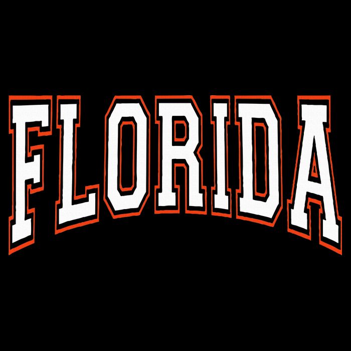 funny Florida FL United States Font  16 in Basic Backpack