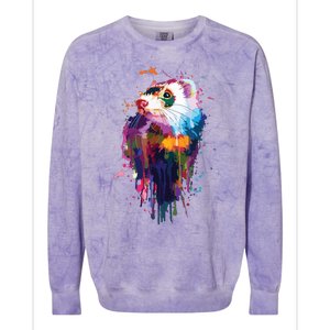 Ferret Face Graphics Hand Drawn Splash Art Ferret Pet Lover Colorblast Crewneck Sweatshirt