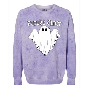 Funny Future Ghost Paranormal Halloween Colorblast Crewneck Sweatshirt