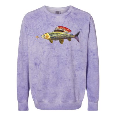 Fly Fishing Grayling Fish Nymphing Dry Fly Tying Fisherman Colorblast Crewneck Sweatshirt