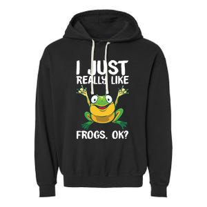 Funny Frog Gift For Cool Tadpole Frog Lover Garment-Dyed Fleece Hoodie