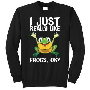 Funny Frog Gift For Cool Tadpole Frog Lover Sweatshirt