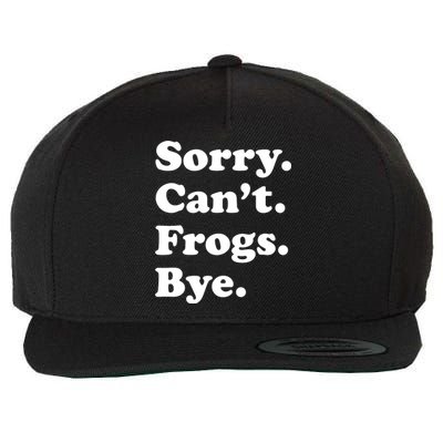 Funny Frog Gift For Wool Snapback Cap