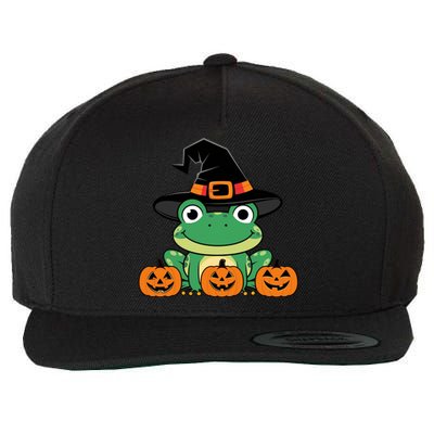 Funny Frog Halloween Costume Cute Wool Snapback Cap