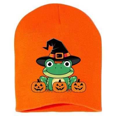 Funny Frog Halloween Costume Cute Short Acrylic Beanie