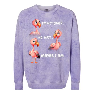 Funny Flamingo Humor Colorblast Crewneck Sweatshirt