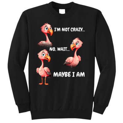 Funny Flamingo Humor Sweatshirt