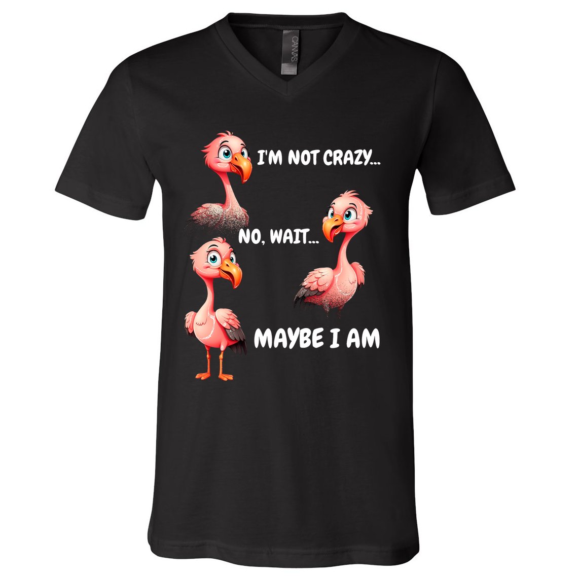Funny Flamingo Humor V-Neck T-Shirt