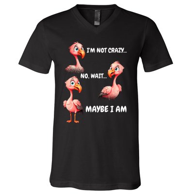 Funny Flamingo Humor V-Neck T-Shirt