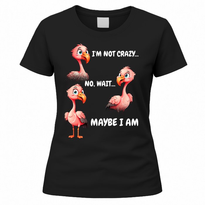 Funny Flamingo Humor Women's T-Shirt