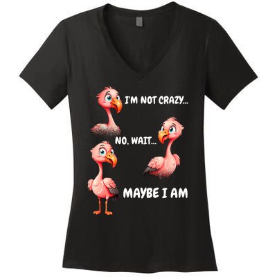 Funny Flamingo Humor Women's V-Neck T-Shirt